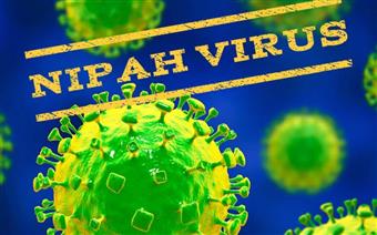 VIRUS NIPAH - CƠ CHẾ GÂY BỆNH VÀ CÁC BIỆN PHÁP PHÒNG NGỪA 